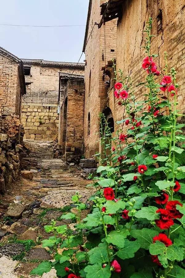 69b4828b4ee27dfd76675e8257102877.jpg 69b4828b4ee27dfd76675e8257102877.jpg