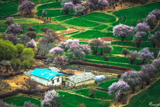 382ec698468d765cbd7447bf0d3a4844.jpg 382ec698468d765cbd7447bf0d3a4844.jpg