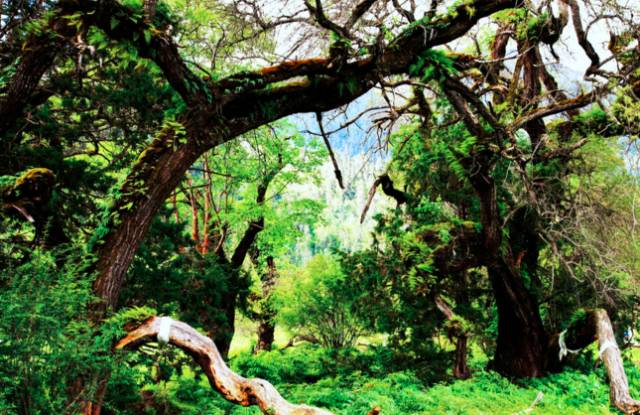 a580e2923820e6b157b7048de47fdd93.jpg a580e2923820e6b157b7048de47fdd93.jpg