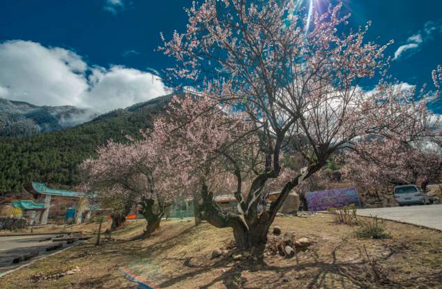 aad8fc4b790b68517a429037c1d5abad.jpg aad8fc4b790b68517a429037c1d5abad.jpg