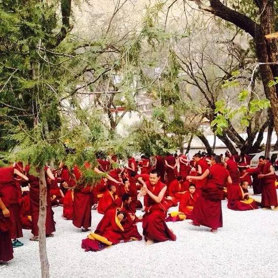 3f2e3b2363f0210552891d315cc92ca1.jpg 3f2e3b2363f0210552891d315cc92ca1.jpg