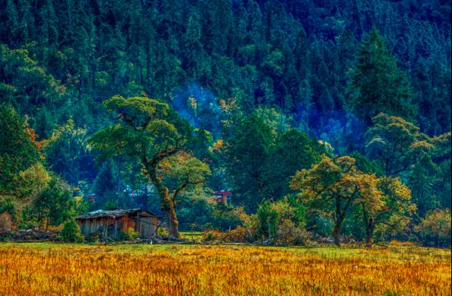 67e74b4b9d1e8945ff0a7bbc9fa46d0a.jpg 67e74b4b9d1e8945ff0a7bbc9fa46d0a.jpg