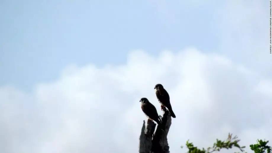 b7fe2404a37f0453fd6604076a0a7cc3.jpg b7fe2404a37f0453fd6604076a0a7cc3.jpg