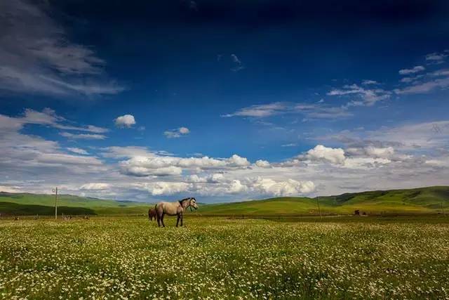 1907e055dc99b05ff8becc500a00df85.jpg 1907e055dc99b05ff8becc500a00df85.jpg