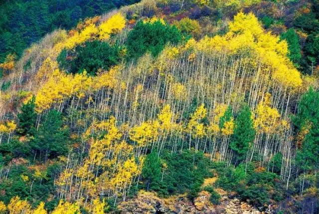 ec8b260bd4ad42e013db701af12e5502.jpg ec8b260bd4ad42e013db701af12e5502.jpg