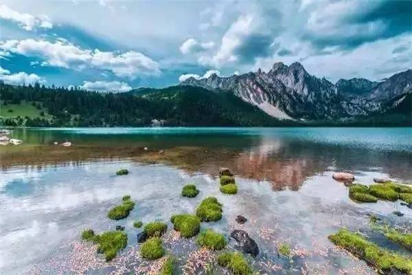 249dcfdb31201432ecc5015515e76c14.jpg 249dcfdb31201432ecc5015515e76c14.jpg