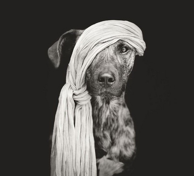 093734wmezqof04xhx4w1m.jpg
