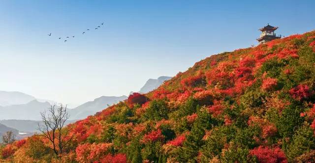 c9e12d0ddbba90cc5a242be9462ecbba.jpg c9e12d0ddbba90cc5a242be9462ecbba.jpg