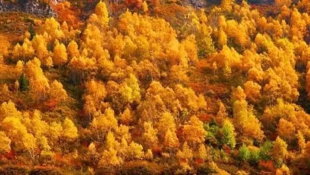 d87e8ba0ba712eca70f63dea38a044eb.jpg d87e8ba0ba712eca70f63dea38a044eb.jpg