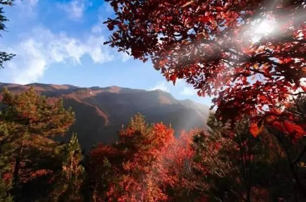 6edbb6f606a4667ab0e4c0ecc05e7960.jpg 6edbb6f606a4667ab0e4c0ecc05e7960.jpg