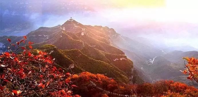 390decd94f338cce6f7fa5aad72388c6.jpg 390decd94f338cce6f7fa5aad72388c6.jpg