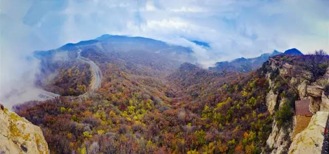 ce820bc6a4d4bef12d9b69090e384601.jpg ce820bc6a4d4bef12d9b69090e384601.jpg