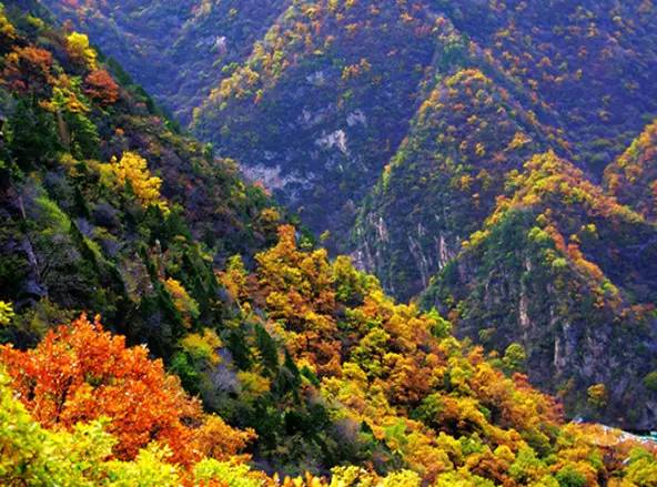 c9dea708ea1bd2e272d14b27af1b482c.jpg c9dea708ea1bd2e272d14b27af1b482c.jpg