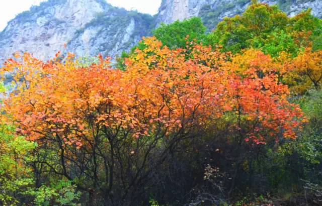 2e1a9539ec200de9a43d9ebbaecc4842.jpg 2e1a9539ec200de9a43d9ebbaecc4842.jpg