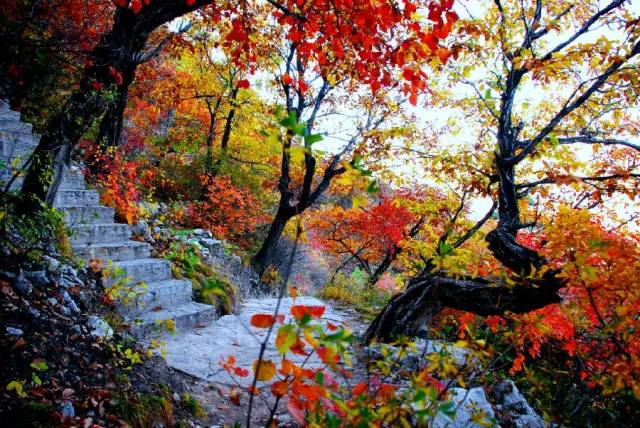 6f69c0c93f7aa7dffe26687392676f01.jpg 6f69c0c93f7aa7dffe26687392676f01.jpg