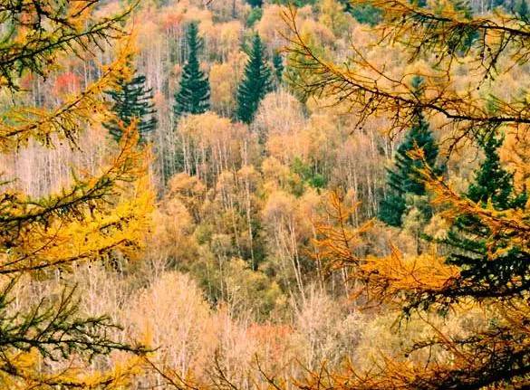 002385985bb4df63d6e7b5f73198b1f4.jpg 002385985bb4df63d6e7b5f73198b1f4.jpg