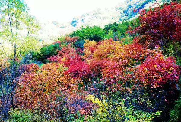 5d0996608fb1f3e586ac9ef6381d29e5.jpg 5d0996608fb1f3e586ac9ef6381d29e5.jpg