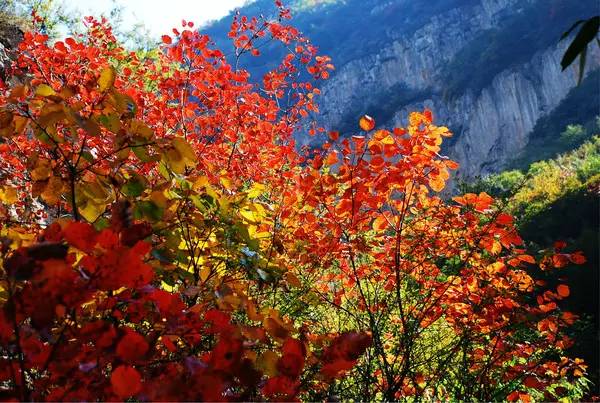 e5faa41678d6dd0d2ebca47115ecae5f.jpg e5faa41678d6dd0d2ebca47115ecae5f.jpg