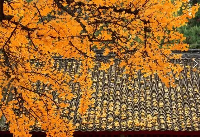 56919c94e826bb5db0060ec9916b3e5b.jpg 56919c94e826bb5db0060ec9916b3e5b.jpg