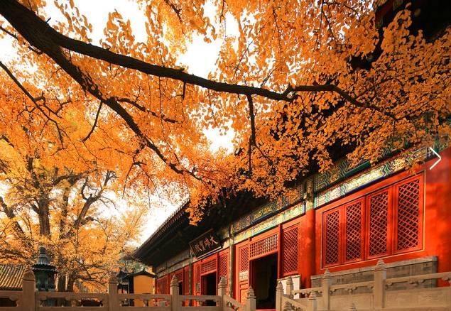 a6722da7bf1f12e17fcfe7c0edfeee07.jpg a6722da7bf1f12e17fcfe7c0edfeee07.jpg