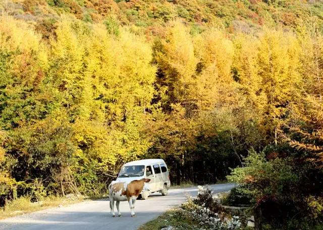 64b244b252067d7e9ec5f6a80976cb4b.jpg 64b244b252067d7e9ec5f6a80976cb4b.jpg