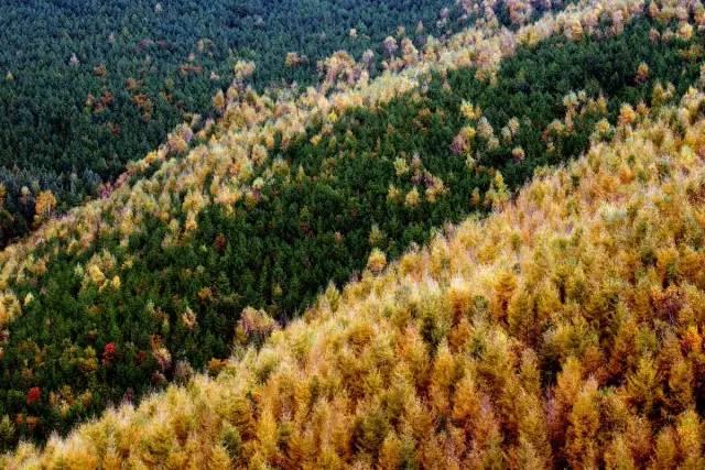 84a3118dd98545b2238e449e0e46c697.jpg 84a3118dd98545b2238e449e0e46c697.jpg