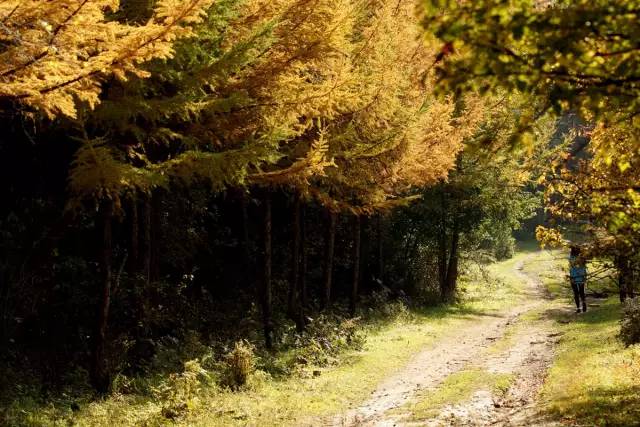 3feb9843408009280322ecb7d1e2c357.jpg 3feb9843408009280322ecb7d1e2c357.jpg