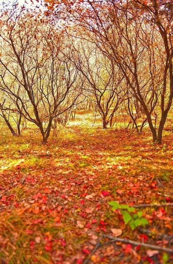 42a7c5f2c59b3102440f1c12b6aaa1ed.jpg 42a7c5f2c59b3102440f1c12b6aaa1ed.jpg