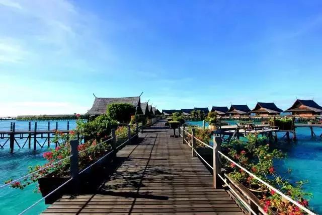 9c4195013d3296606bbd87cf1ac8311a.jpg 9c4195013d3296606bbd87cf1ac8311a.jpg