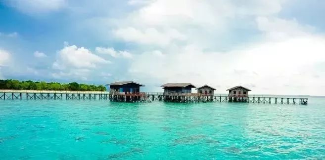 ed0ca50510a17e630e241a2802ee3b3a.jpg ed0ca50510a17e630e241a2802ee3b3a.jpg