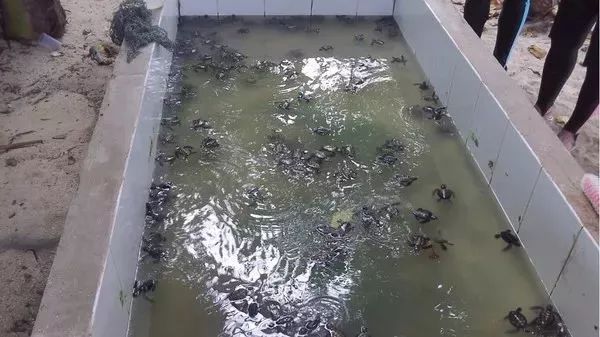 bb9a02ffcbaeb98c49d21aceb71b8206.jpg bb9a02ffcbaeb98c49d21aceb71b8206.jpg