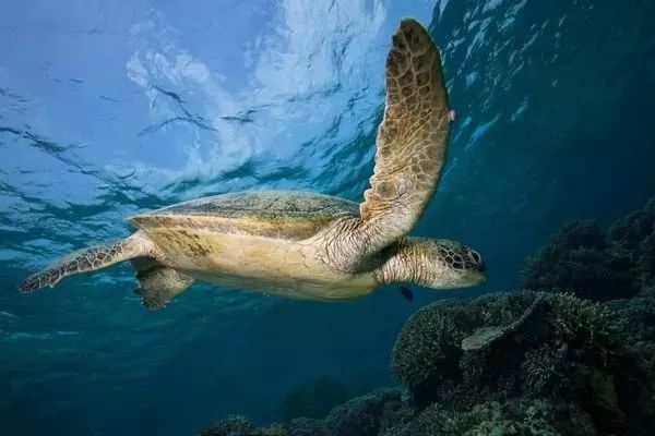 3221001b13ce1efff5f51eccd1ffcb46.jpg 3221001b13ce1efff5f51eccd1ffcb46.jpg