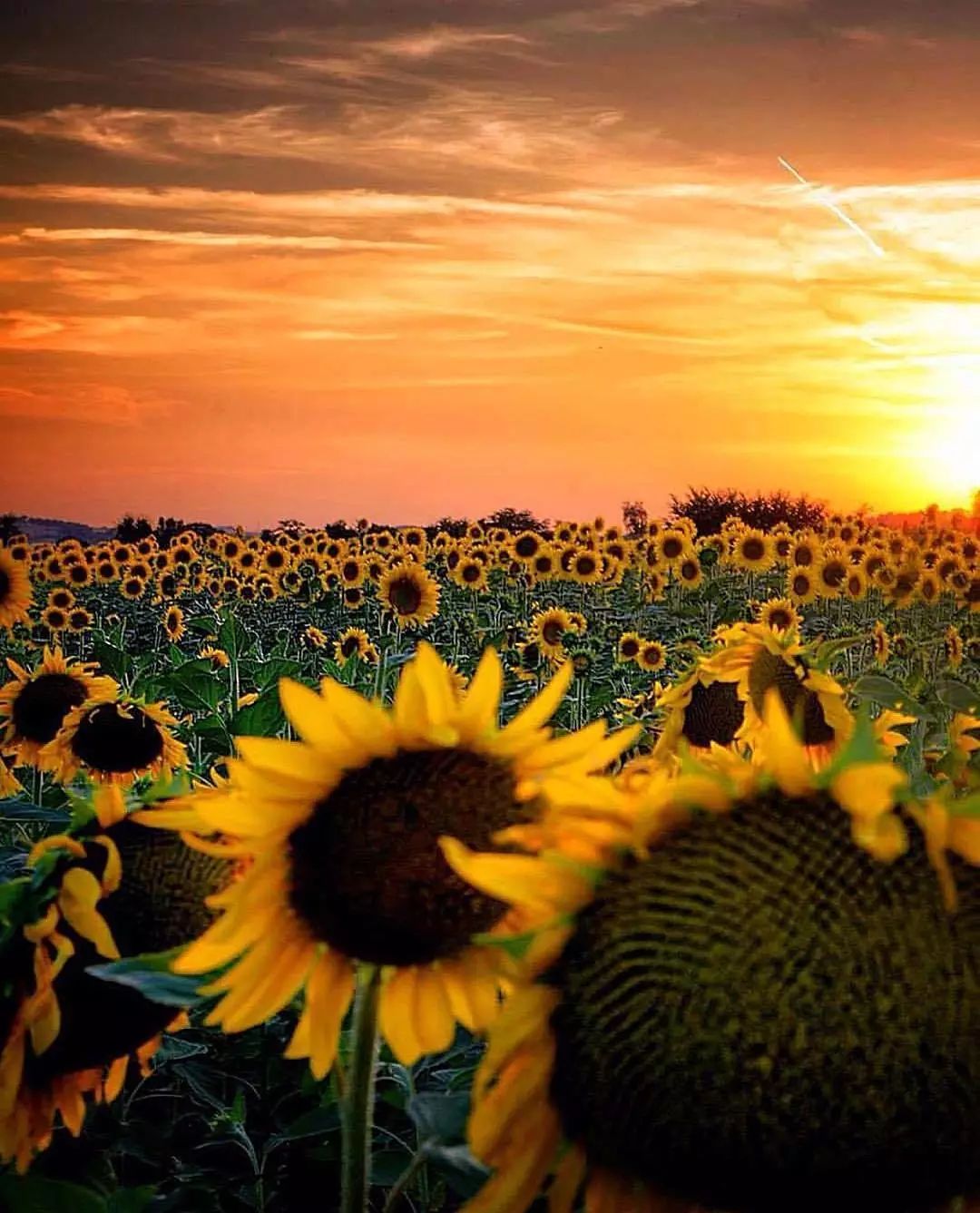 a575f20d1b13f0632afdbd8067df1839.jpg a575f20d1b13f0632afdbd8067df1839.jpg