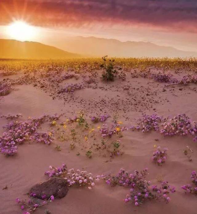 3a0cd04b7f5533fa035f0f2f2f3c31df.jpg 3a0cd04b7f5533fa035f0f2f2f3c31df.jpg