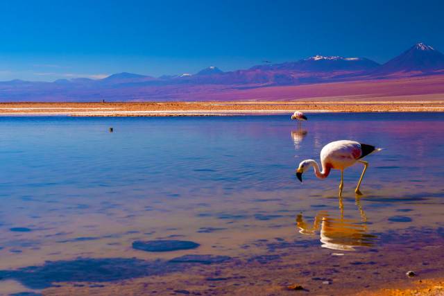 aead8ffd846e8e527f36d9f23fed5964.jpg aead8ffd846e8e527f36d9f23fed5964.jpg