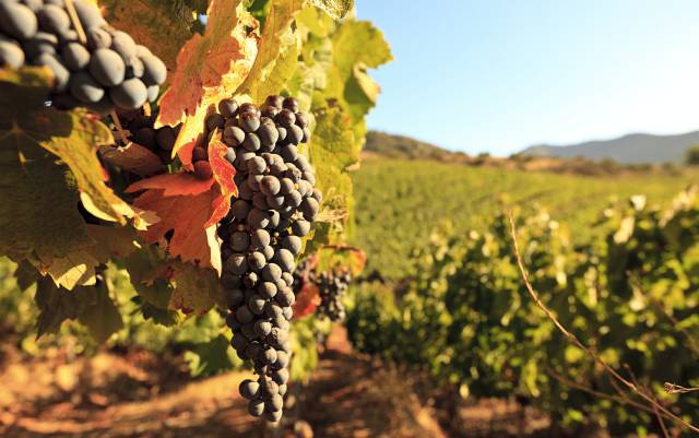 b7c5d84a6ab4fec66a511e712e3f1fba.jpg b7c5d84a6ab4fec66a511e712e3f1fba.jpg