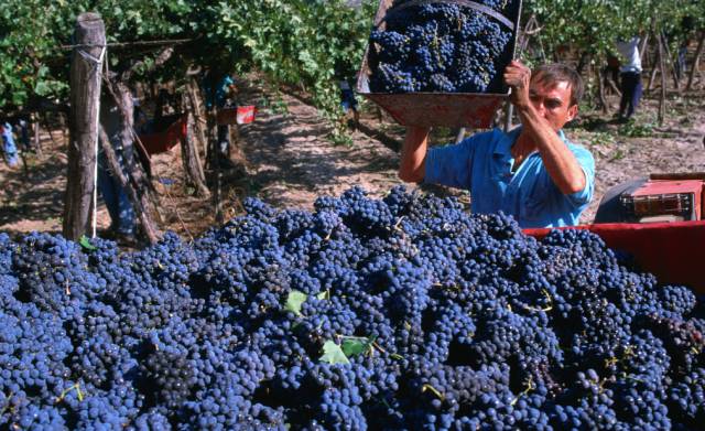 c450be8da4eabdfa5843f6bbe524fc3f.jpg c450be8da4eabdfa5843f6bbe524fc3f.jpg