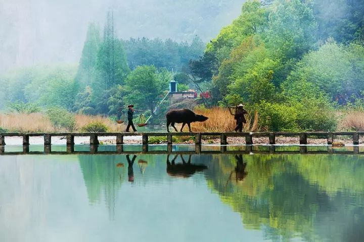 f7b13e09b395b655a092a8ce039af1c2.jpg f7b13e09b395b655a092a8ce039af1c2.jpg