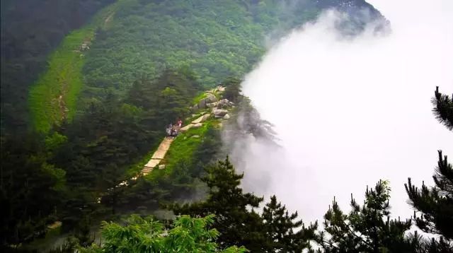 8bcd236eb092d7219d4795a20be7b90c.jpg 8bcd236eb092d7219d4795a20be7b90c.jpg