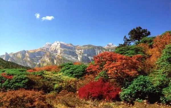 805129833f1e762e27712239f3bc09d1.jpg 805129833f1e762e27712239f3bc09d1.jpg