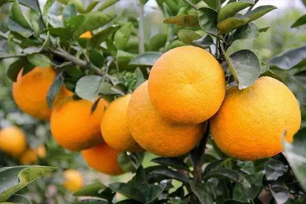 90ed22ef8f9d7470812aa884f085903f.jpg 90ed22ef8f9d7470812aa884f085903f.jpg