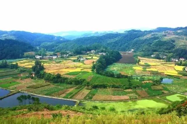 0b7c0b0e7a903b9c9472a878b0c6f0ea.jpg 0b7c0b0e7a903b9c9472a878b0c6f0ea.jpg