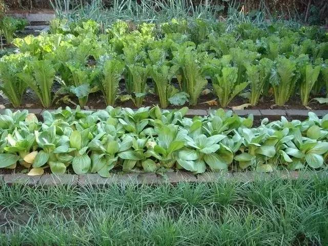 11a00918dc3b748e248ff7601fef9c33.jpg 11a00918dc3b748e248ff7601fef9c33.jpg