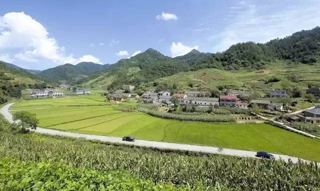 c2f8583bd3859a3b9a0b19a9d3df46e6.jpg c2f8583bd3859a3b9a0b19a9d3df46e6.jpg