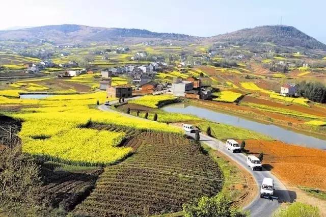 6740823dc3a6d7fc862e7bf51ae09eea.jpg 6740823dc3a6d7fc862e7bf51ae09eea.jpg