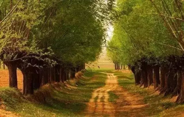 7ec087392b57088dc6b9b71b6cbf3091.jpg 7ec087392b57088dc6b9b71b6cbf3091.jpg