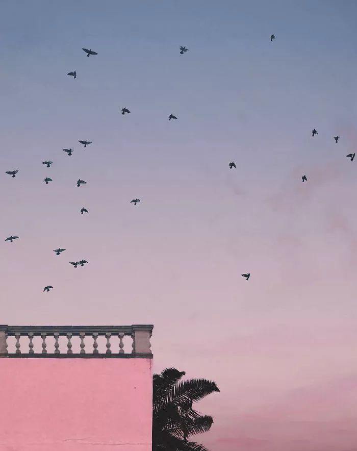 8727af97a5c77c1139c89a63e9279ef5.jpg