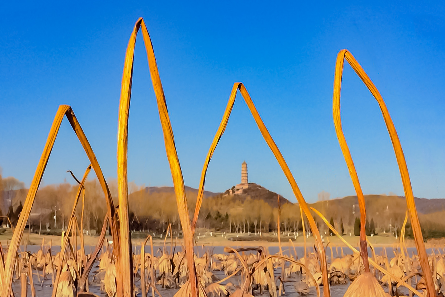 微信图片_20171226151045 拷贝.jpg