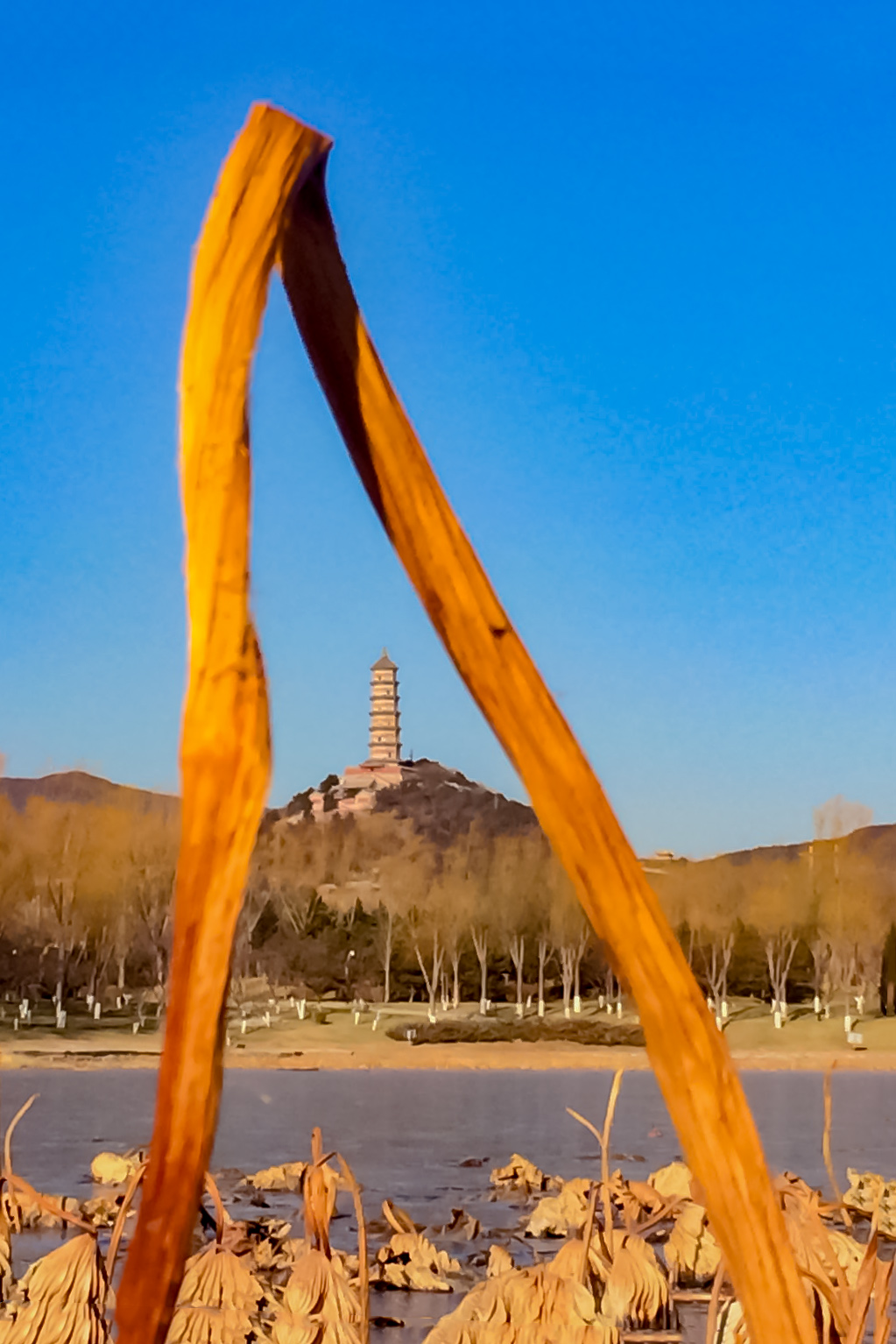 微信图片_20171226151055 拷贝.jpg