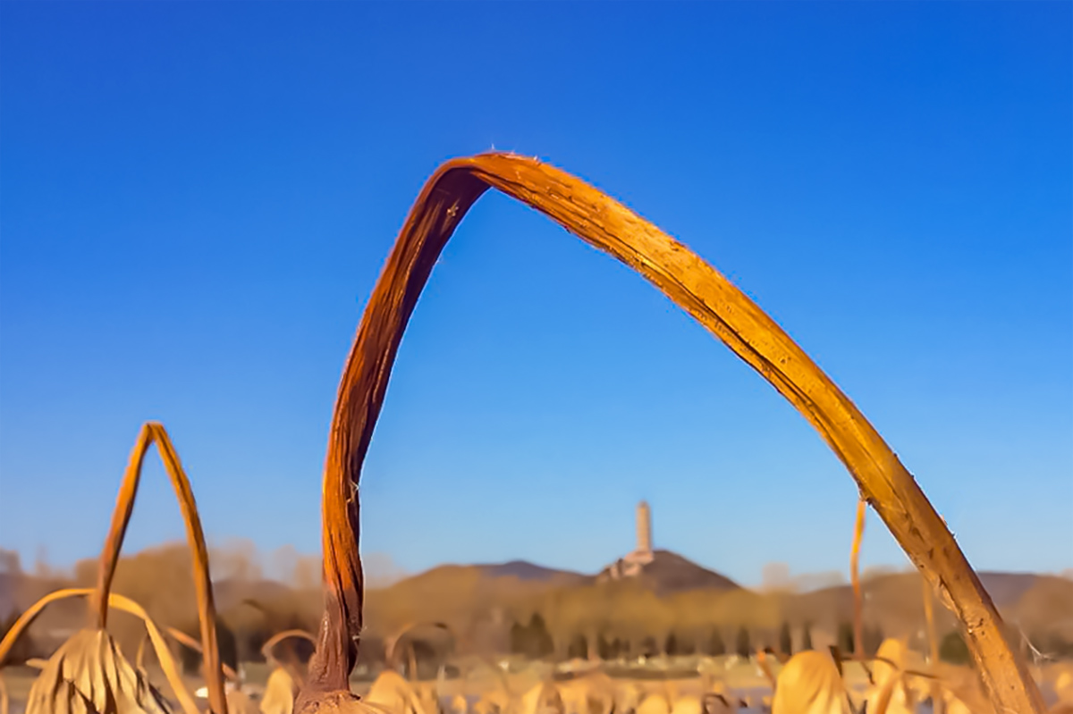 微信图片_20171226151112 拷贝.jpg